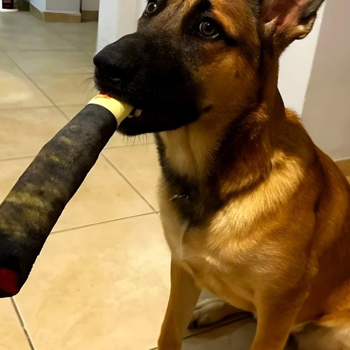 Peluche cigare qui couine pour chien, 3 tailles