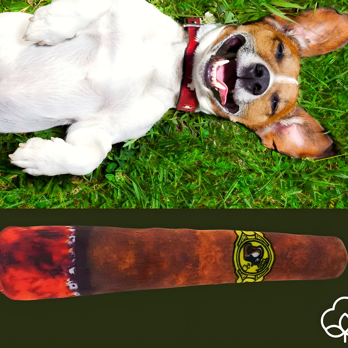 Peluche cigare qui couine pour chien, 3 tailles