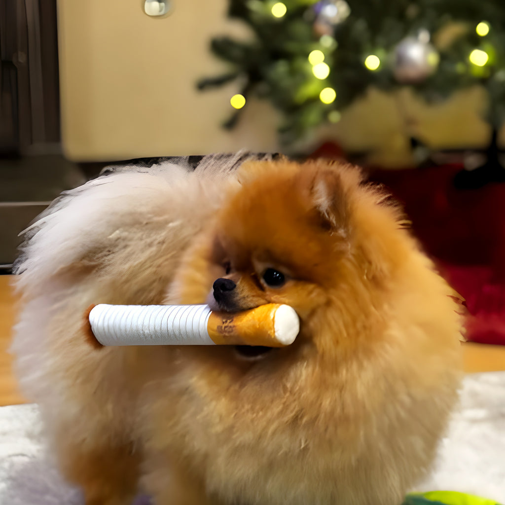 Peluche cigarette qui couine pour chien, à l'unité ou par 3