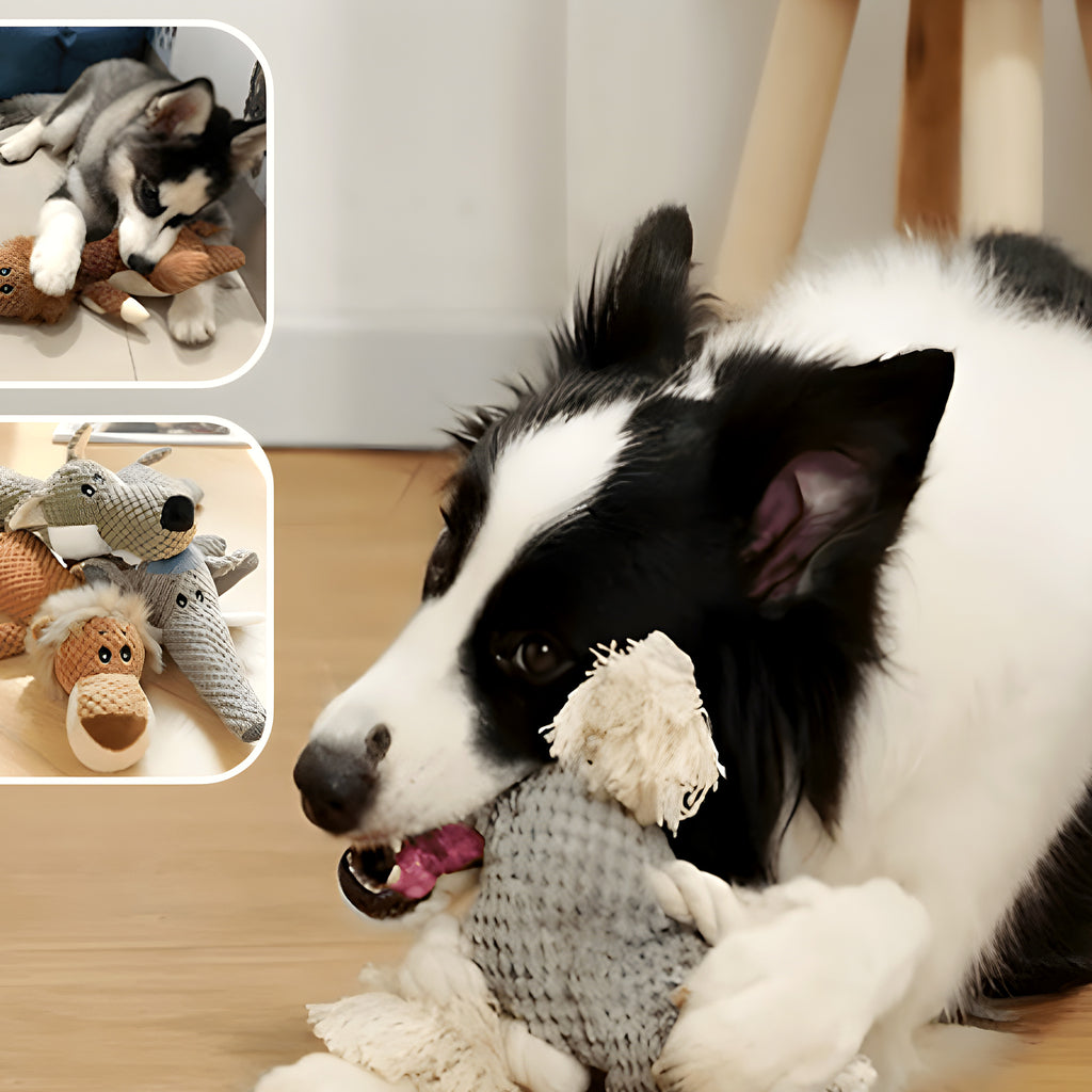 Peluche couineuse lion ou éléphant pour chien