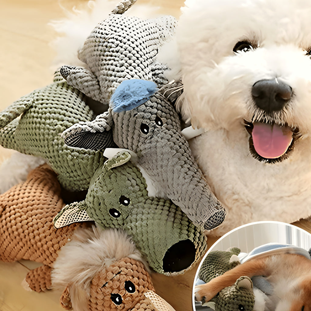 Peluche couineuse lion ou éléphant pour chien