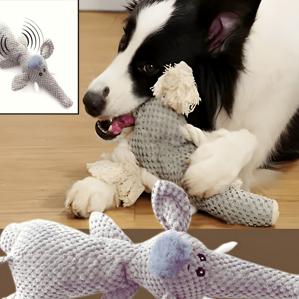 Peluche couineuse lion ou éléphant pour chien