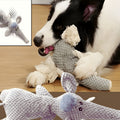 Peluche couineuse lion ou éléphant pour chien