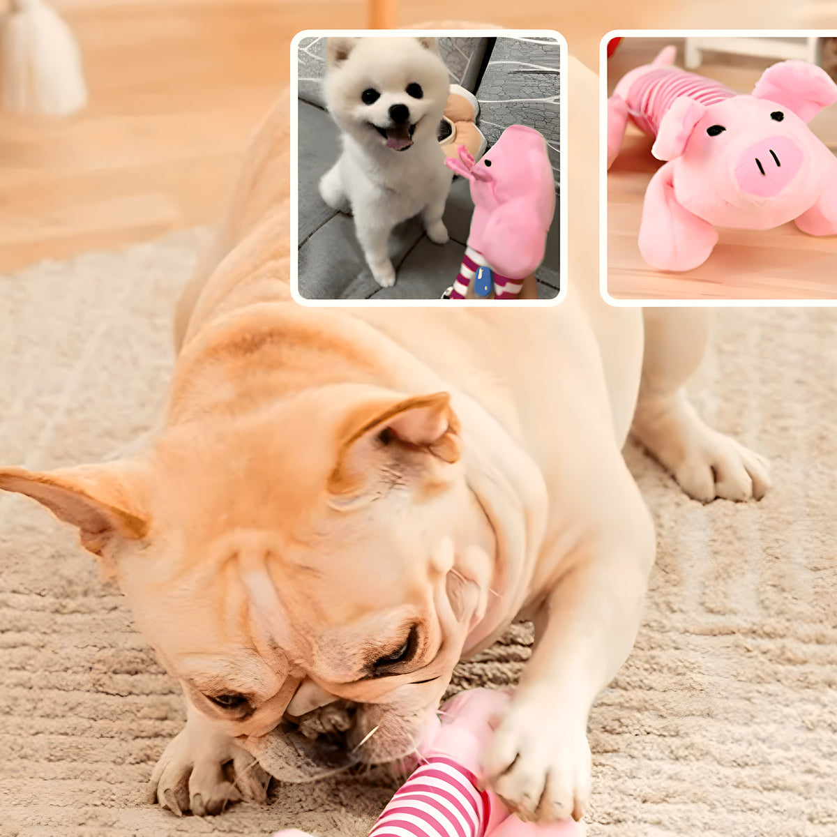 Peluche de dentition pour chiot, à l'unité ou lot de 3