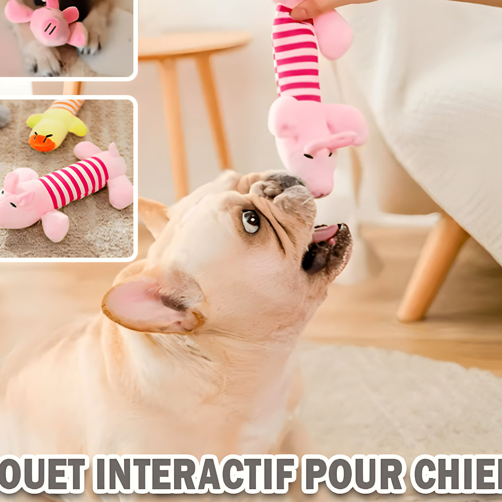 Peluche de dentition pour chiot, à l'unité ou lot de 3