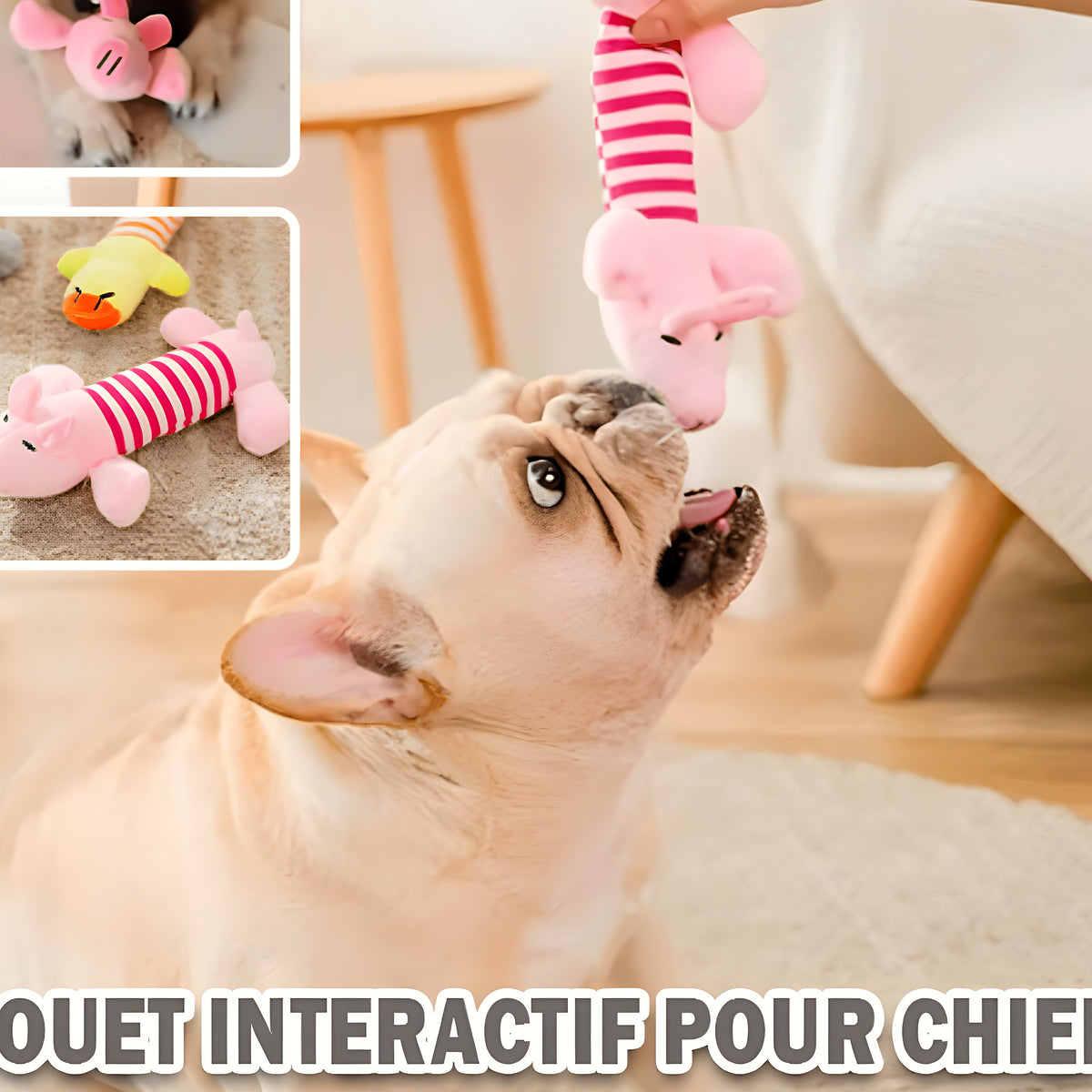 Peluche de dentition pour chiot, à l'unité ou lot de 3
