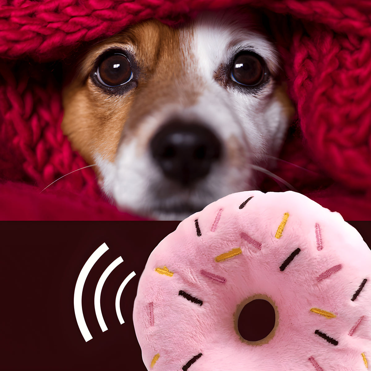 Peluche donut pour chiot et petit chien