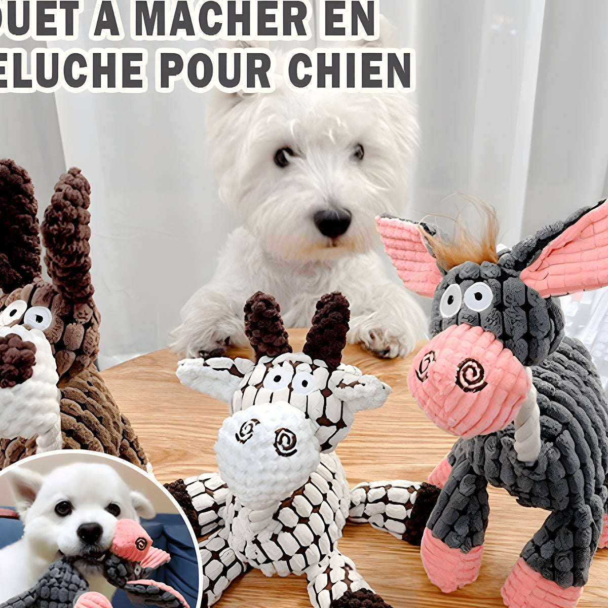 Peluche interactive âne, chien ou girafe pour chien