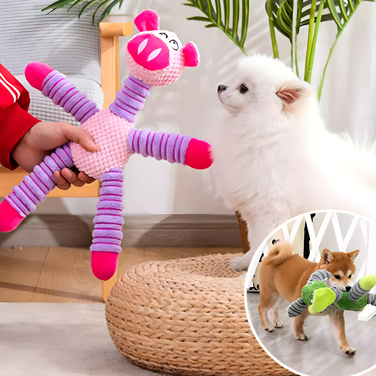 Peluche interactive cochon ou éléphant pour chien