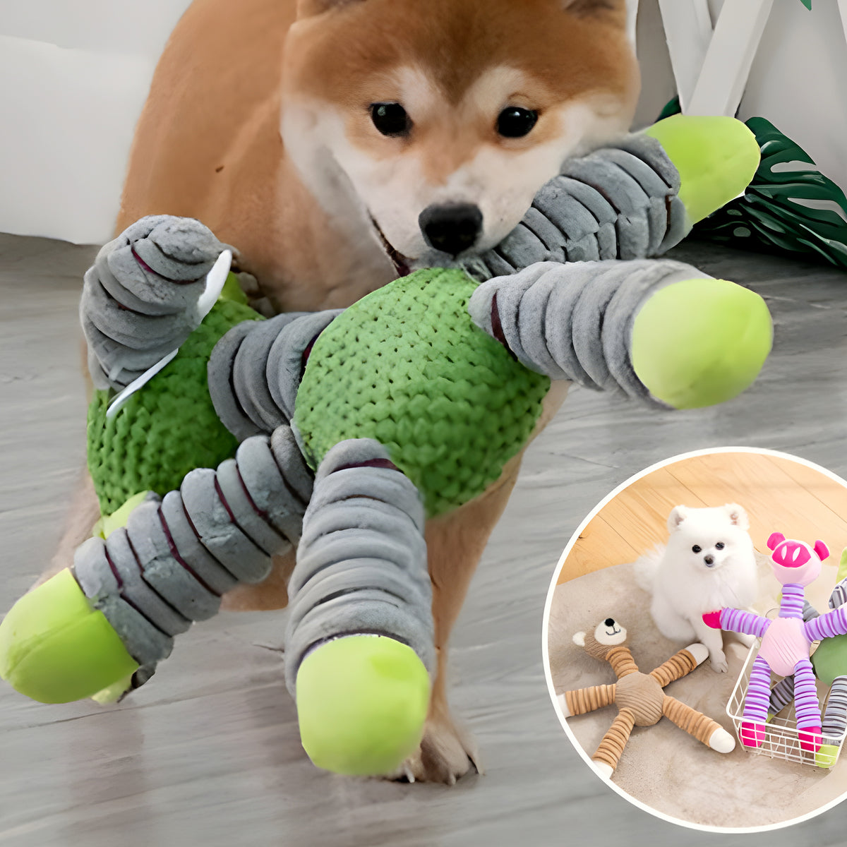 Peluche interactive cochon ou éléphant pour chien