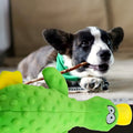 Peluche interactive qui stimule les sens du chien