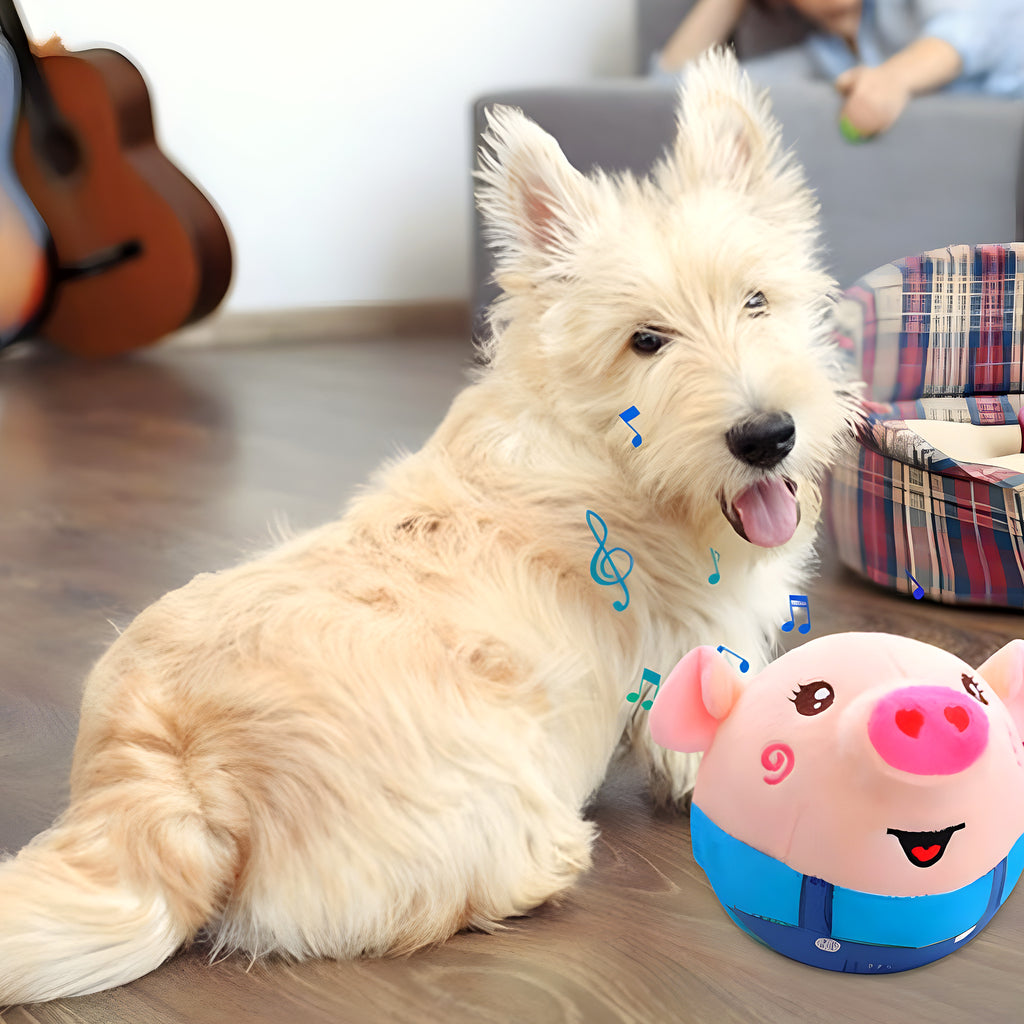 Peluche interactive rebondissante rechargeable pour chien