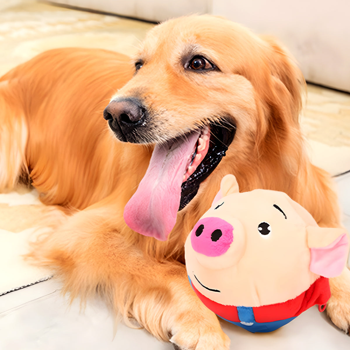 Peluche interactive rebondissante rechargeable pour chien