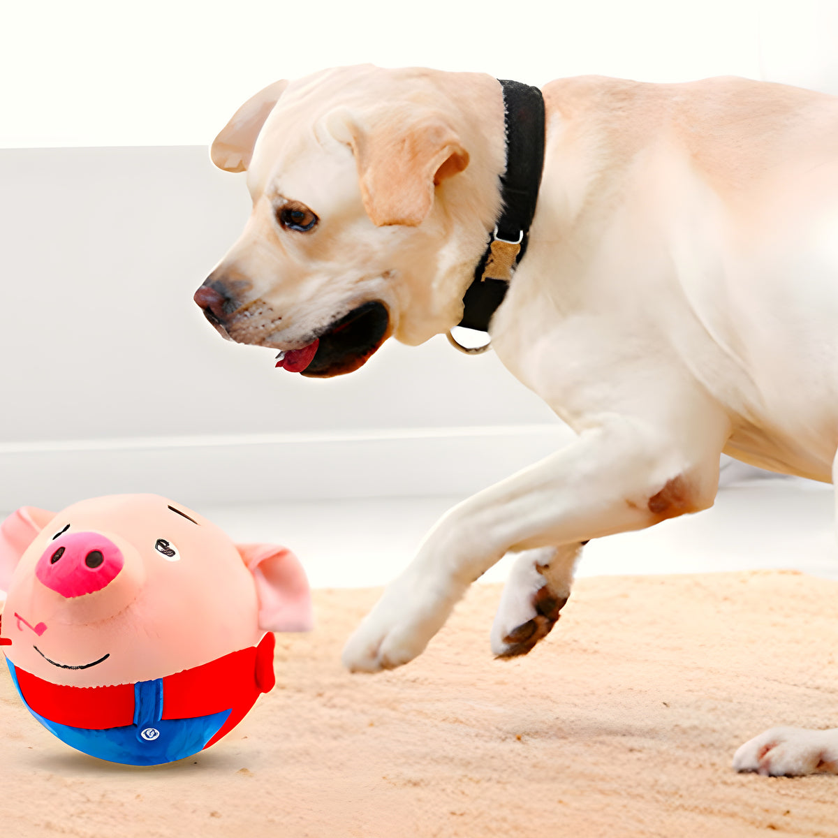 Peluche interactive rebondissante rechargeable pour chien