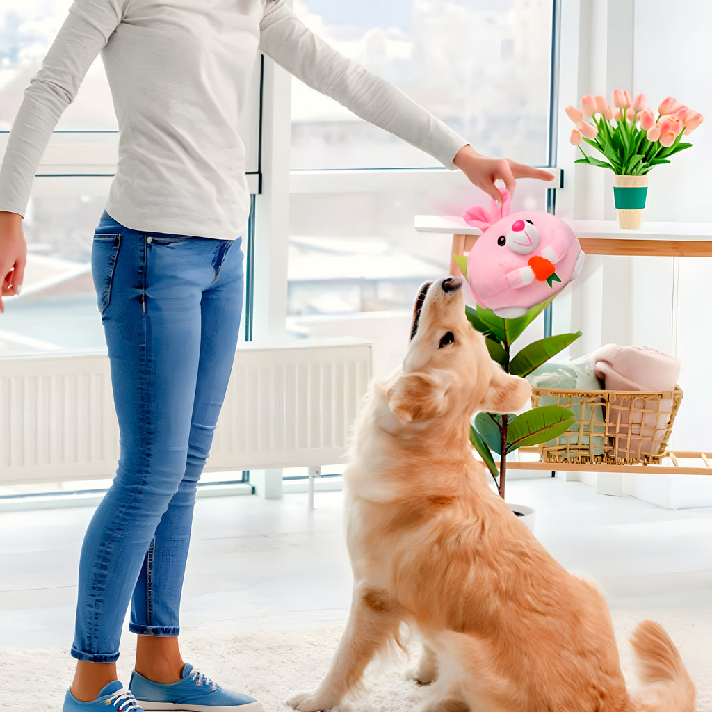 Peluche interactive rebondissante rechargeable pour chien