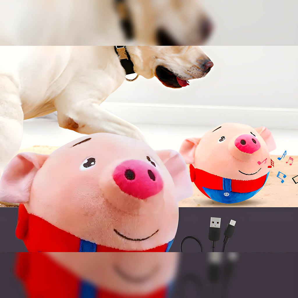 Peluche interactive rebondissante rechargeable pour chien