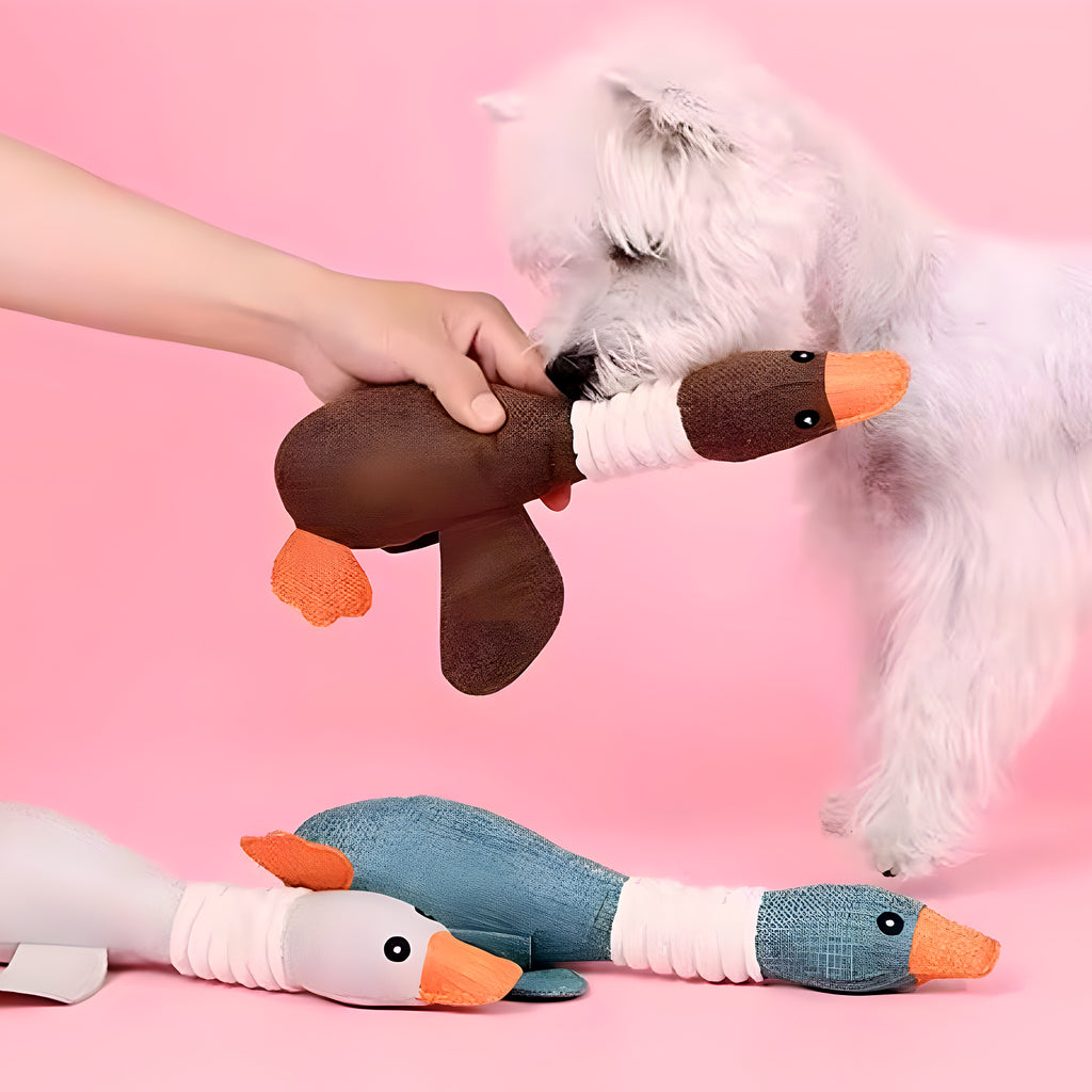 Peluche oie pour chiot et chien, 3 couleurs