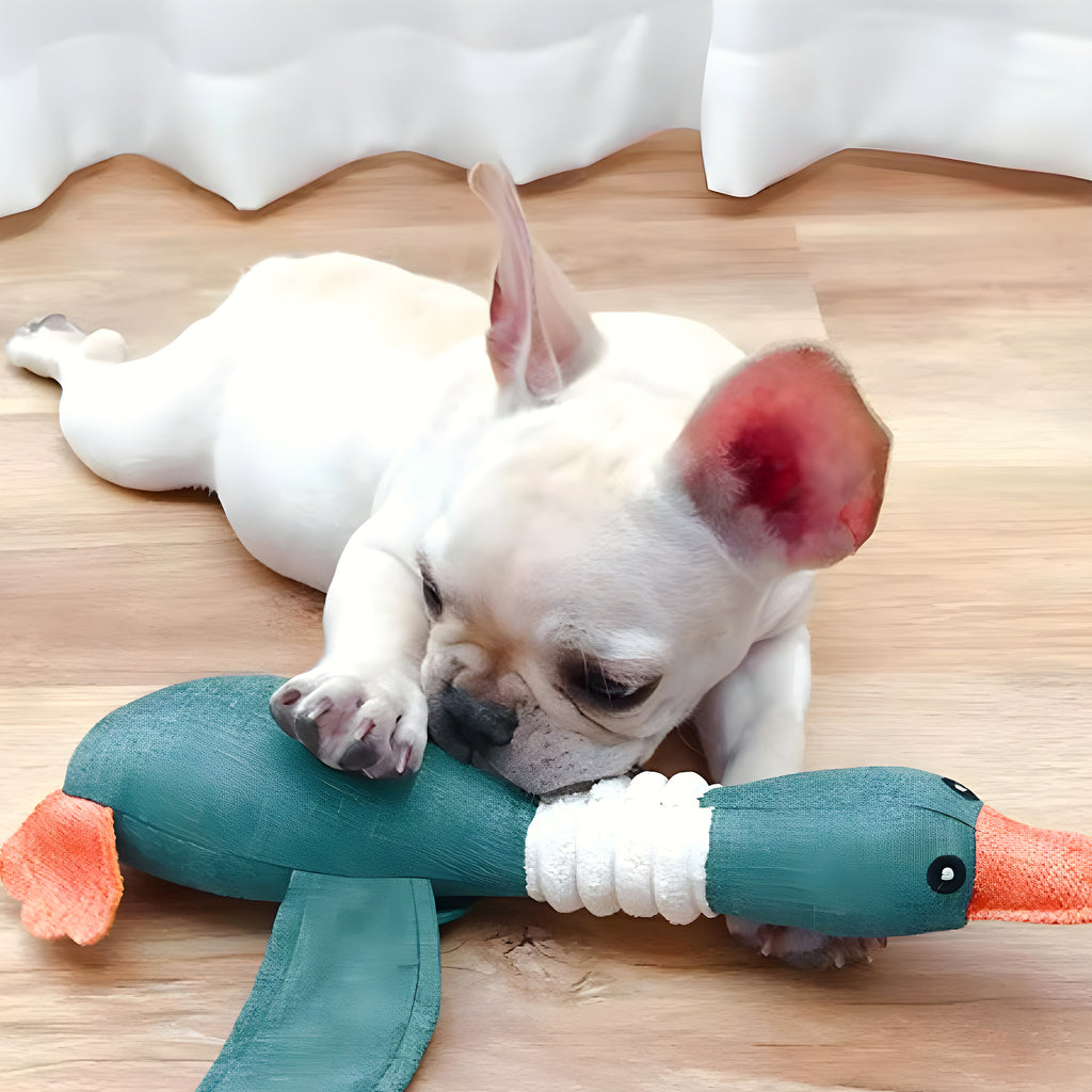 Peluche oie pour chiot et chien, 3 couleurs