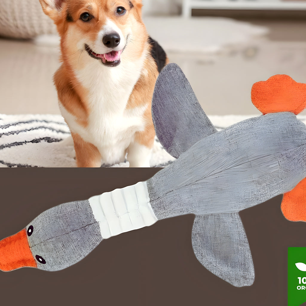 Peluche oie pour chiot et chien, 3 couleurs