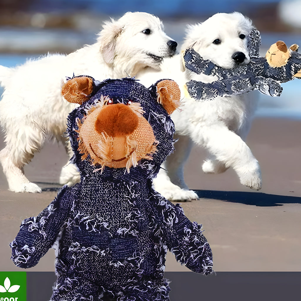 Peluche ours qui couine pour chien, 3 couleurs