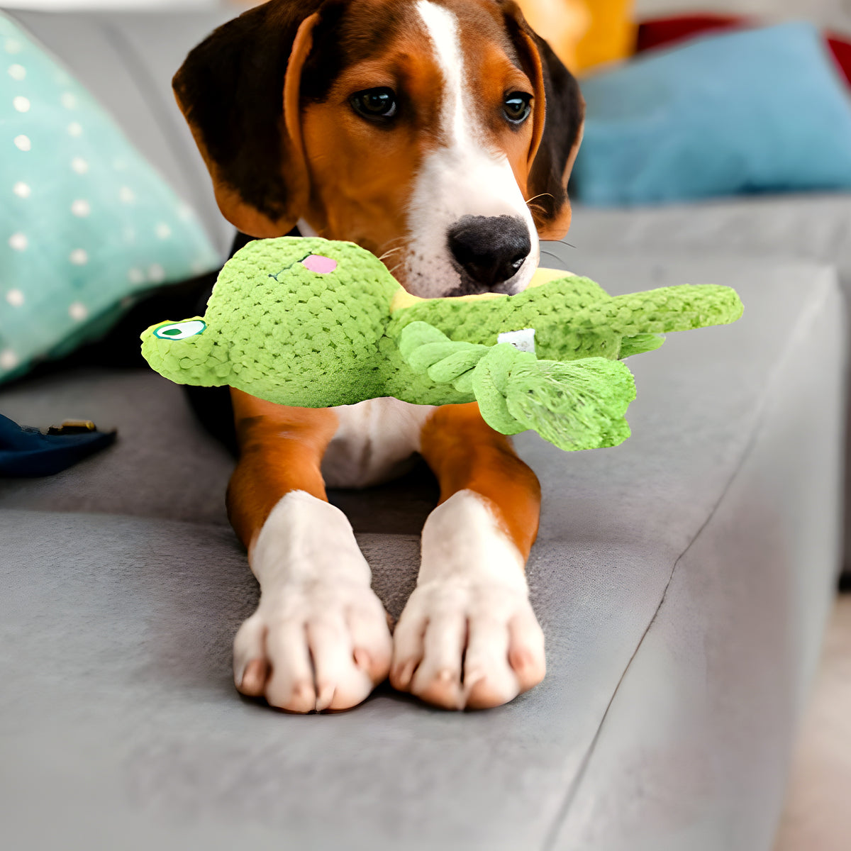 Peluche papier froissé et couineur pour chien, 6 animaux