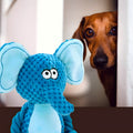 Peluche papier froissé et couineur pour chien, 6 animaux
