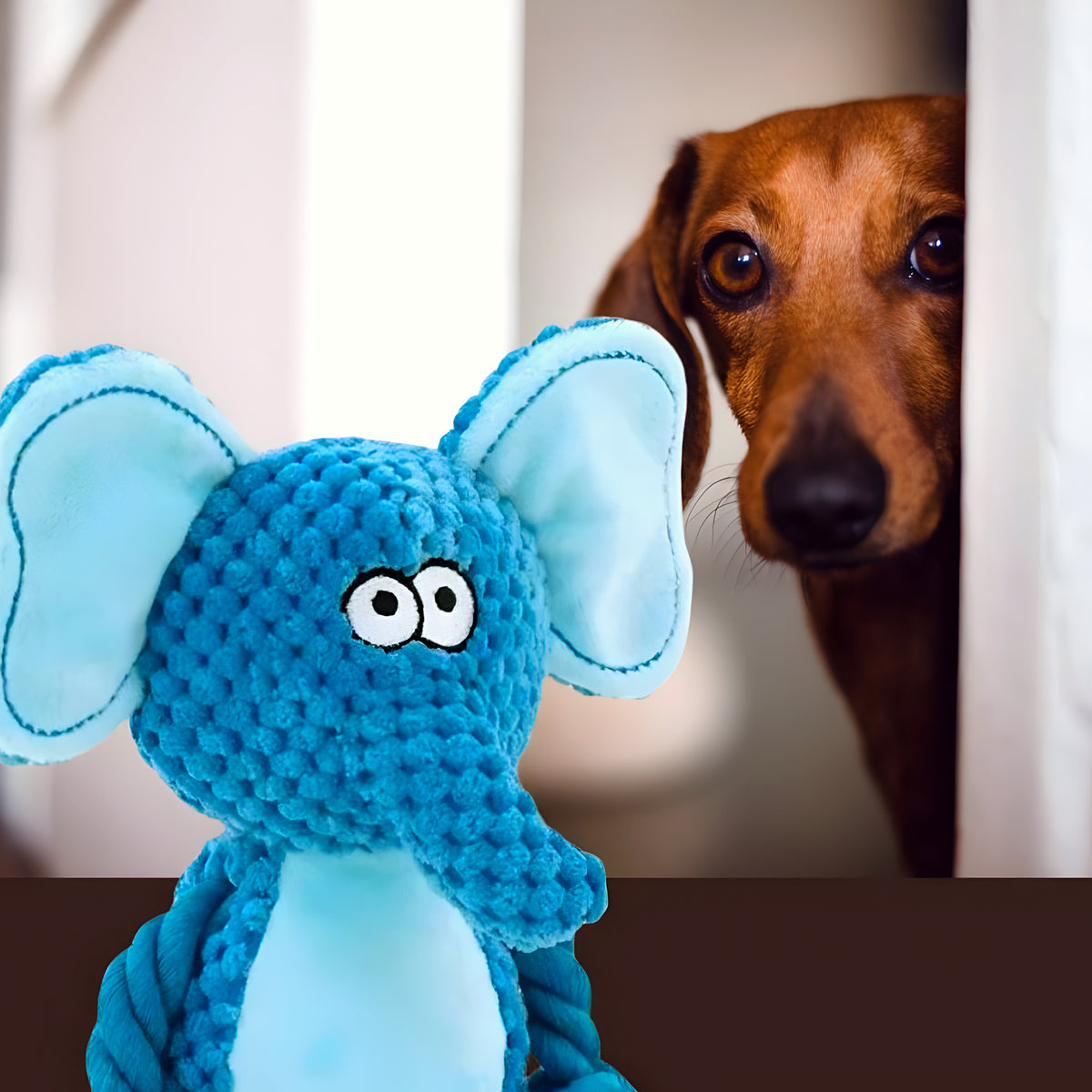 Peluche papier froissé et couineur pour chien, 6 animaux