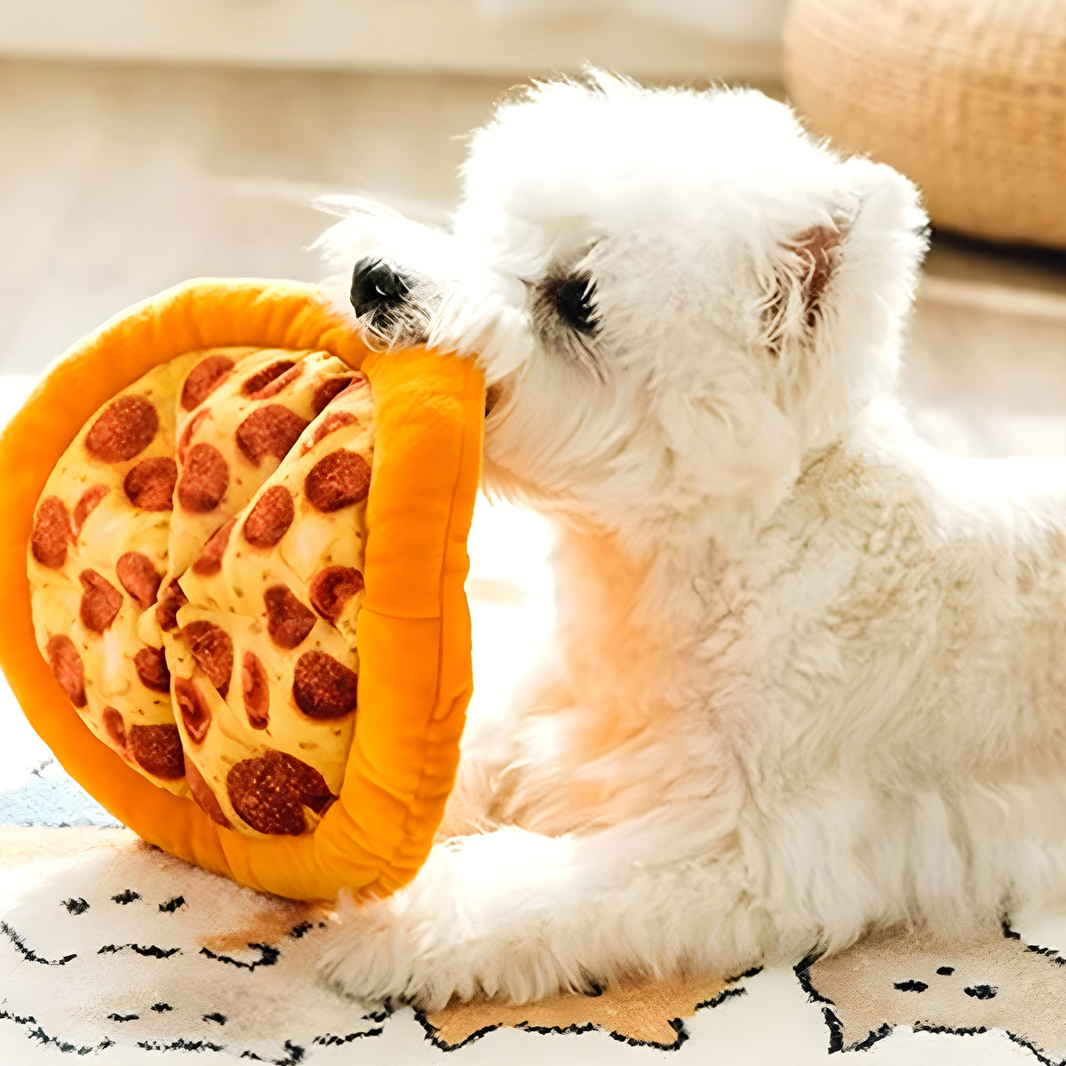 Peluche pizza ou donut qui couine pour chien