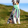 Peluche poulpe pour chien