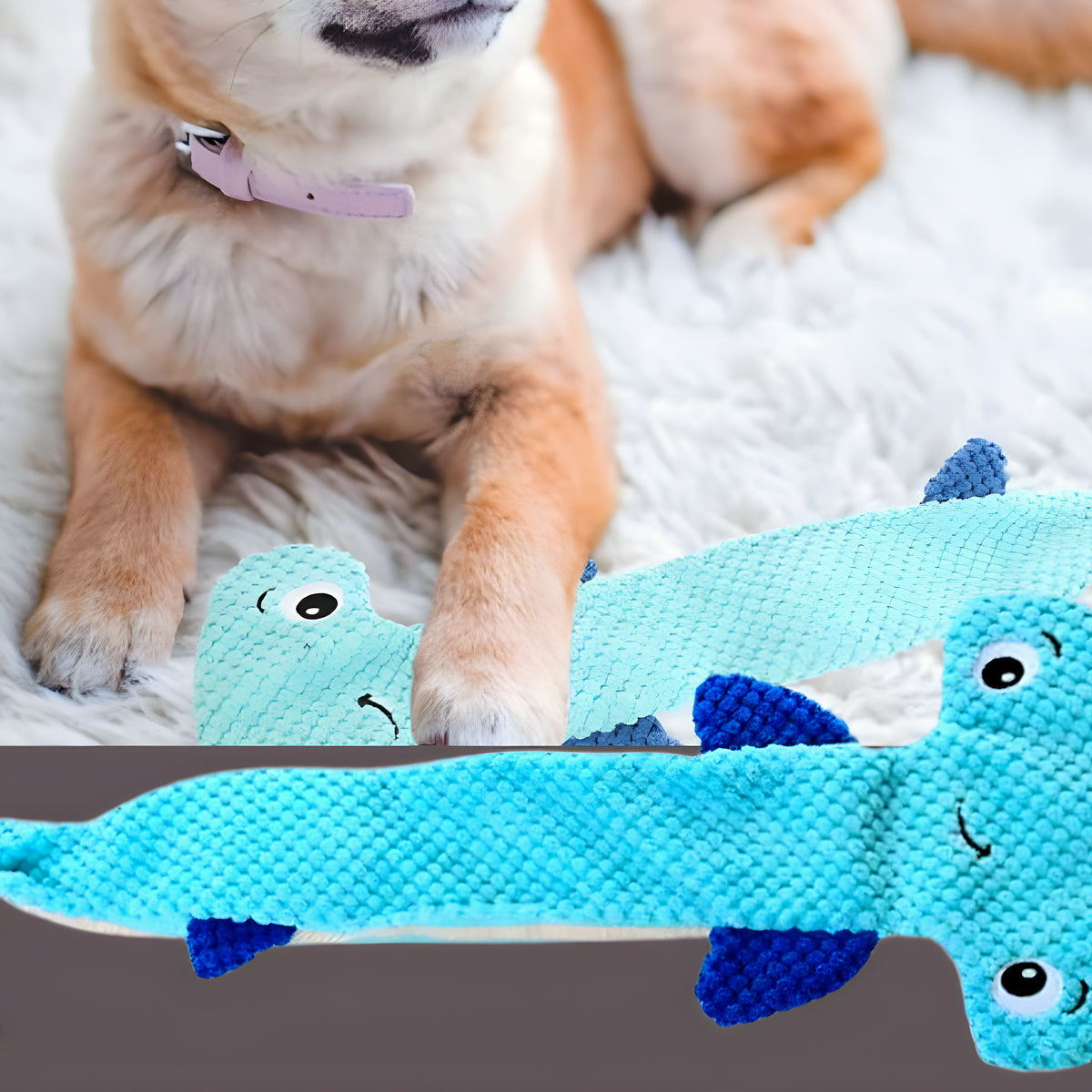 Peluche requin marteau ou lézard pour chien