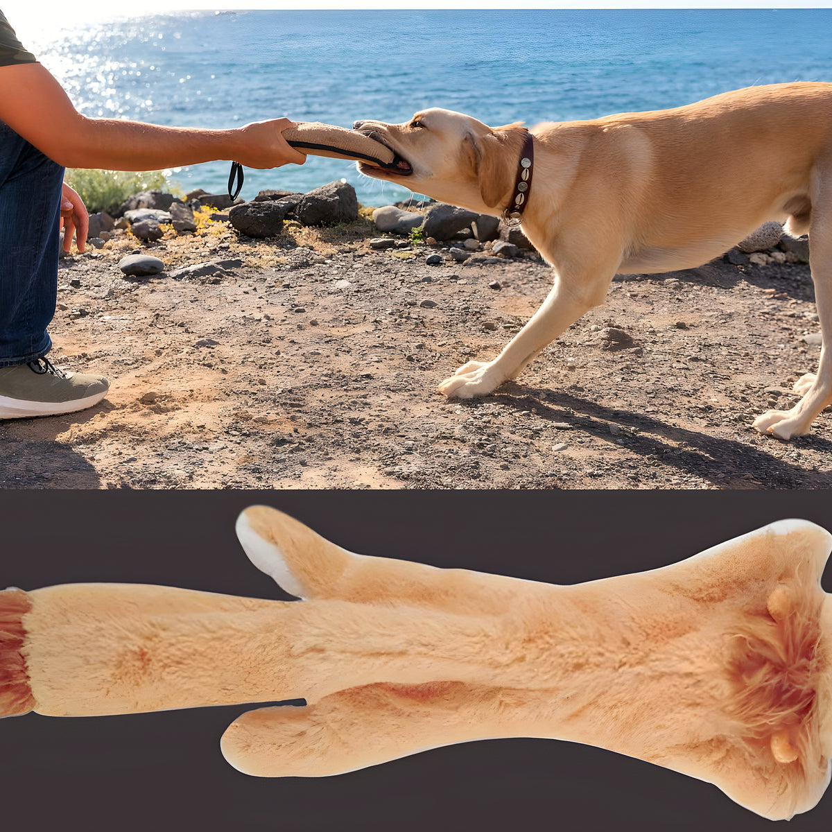 Peluche safari sans rembourrage à double couineur