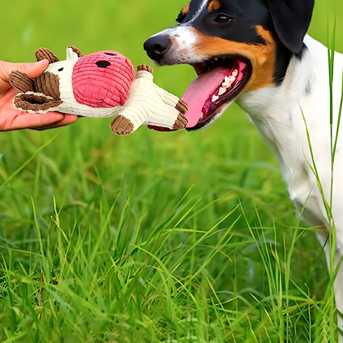 Peluche sonore 20 cm pour chien, 4 animaux
