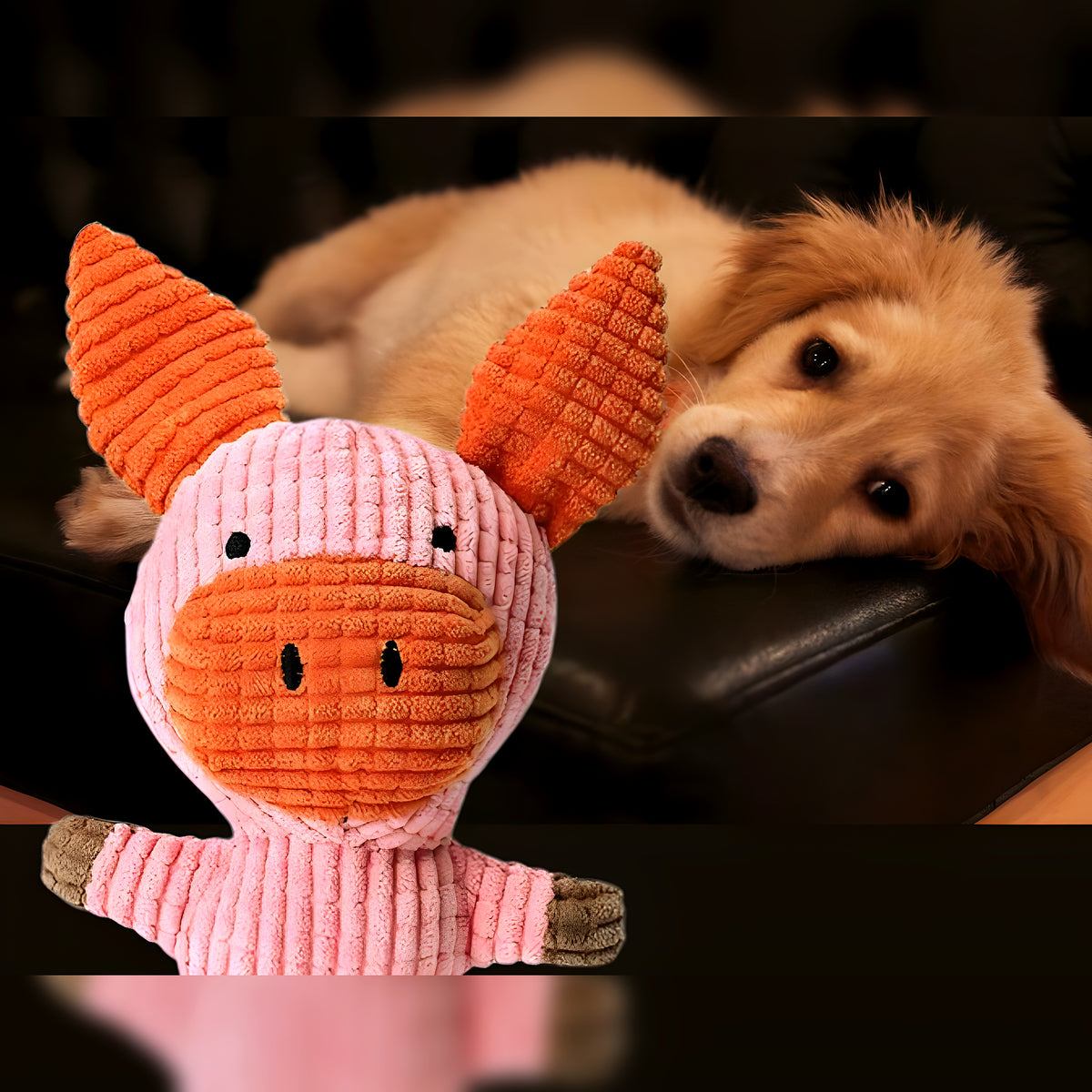 Peluche sonore 20 cm pour chien, 4 animaux