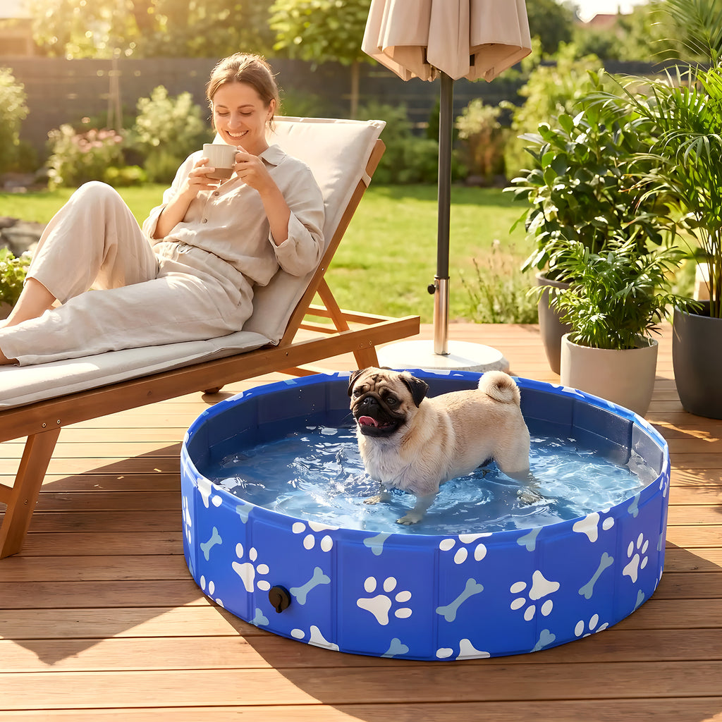 Petit bassin rigide 80 cm pour chiot