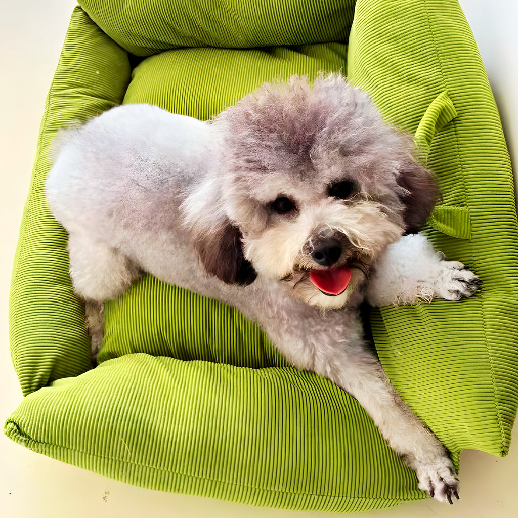 Petit canapé artisanal en coton et lin pour chien, S ou M