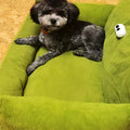 Petit canapé artisanal en coton et lin pour chien, S ou M