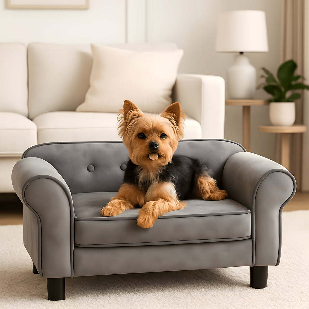 Petit canapé capitonné gris en peluche pour mini chien