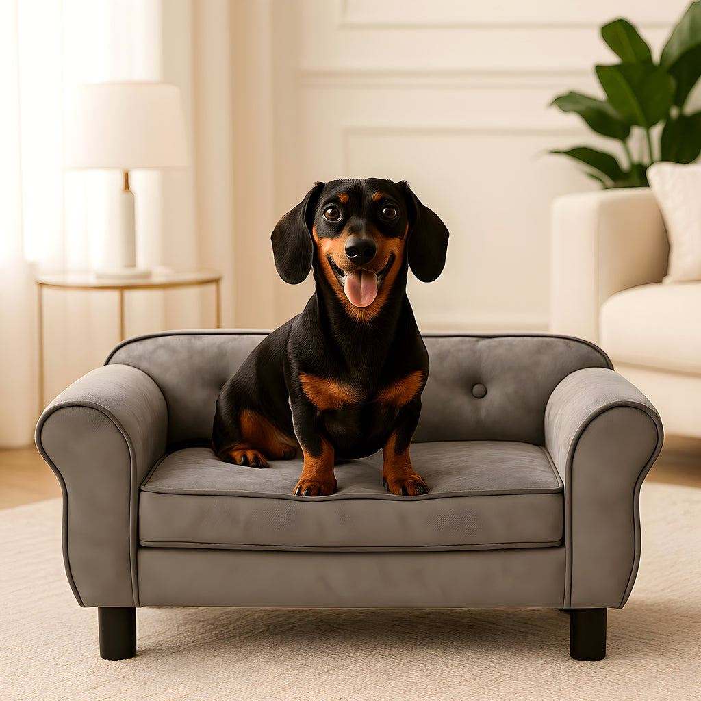 Petit canapé capitonné gris en peluche pour mini chien