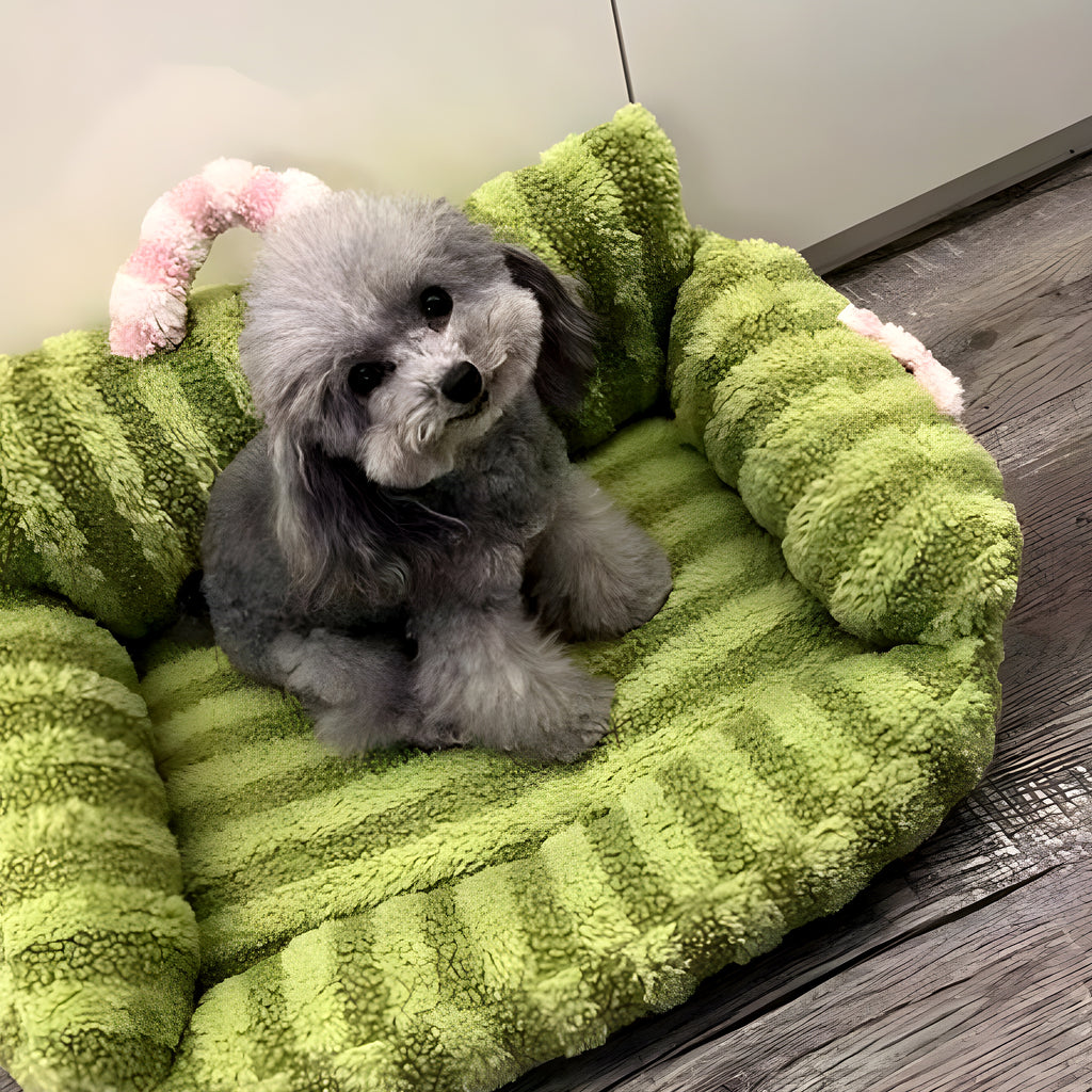Petit canapé douillet pour chien de moins de 7 kg