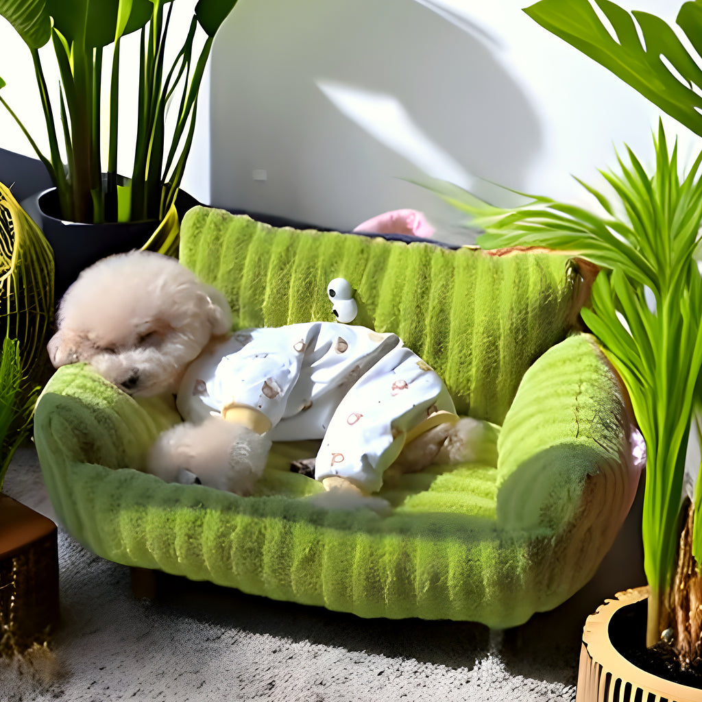 Petit canapé douillet pour chien de moins de 7 kg