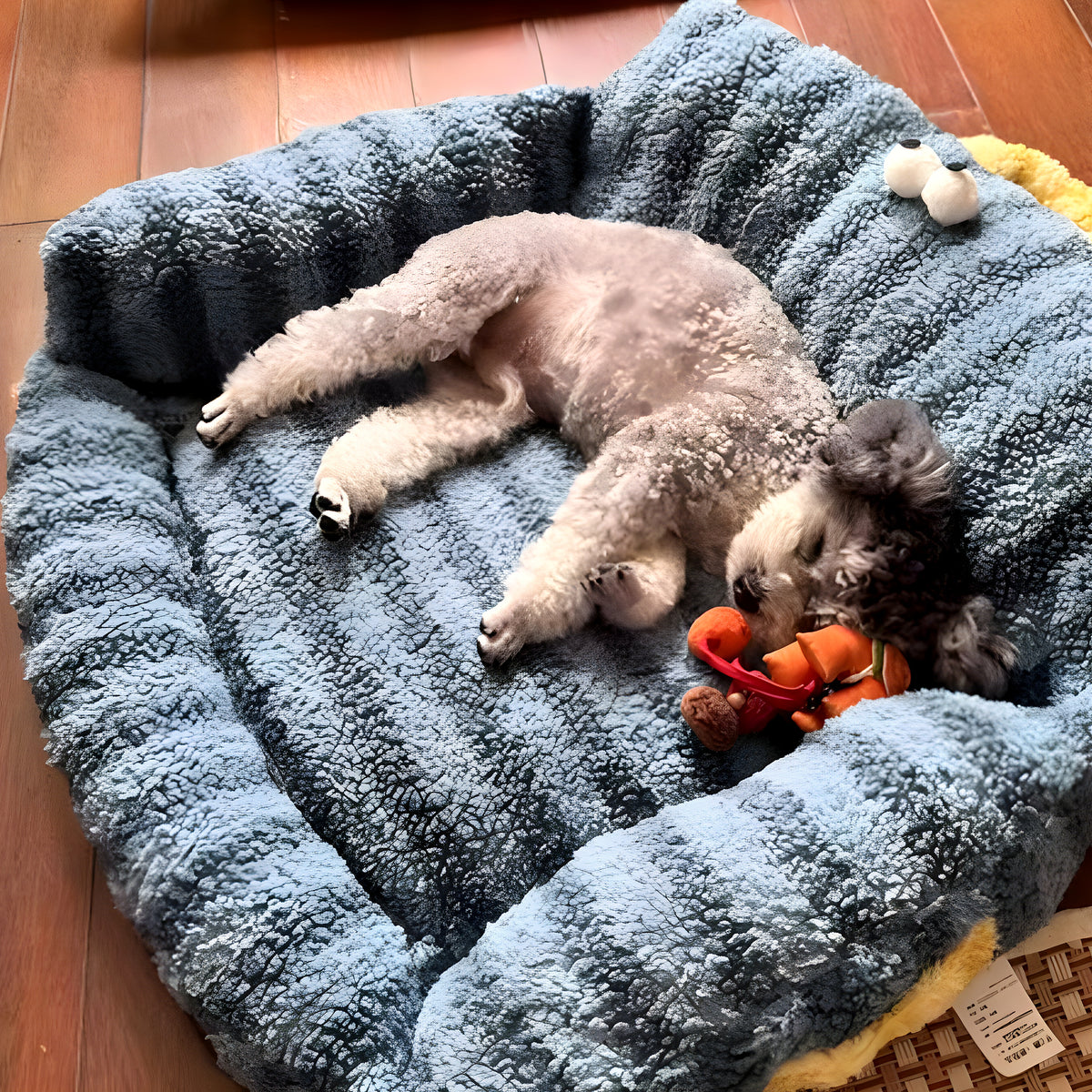 Petit canapé douillet pour chien de moins de 7 kg