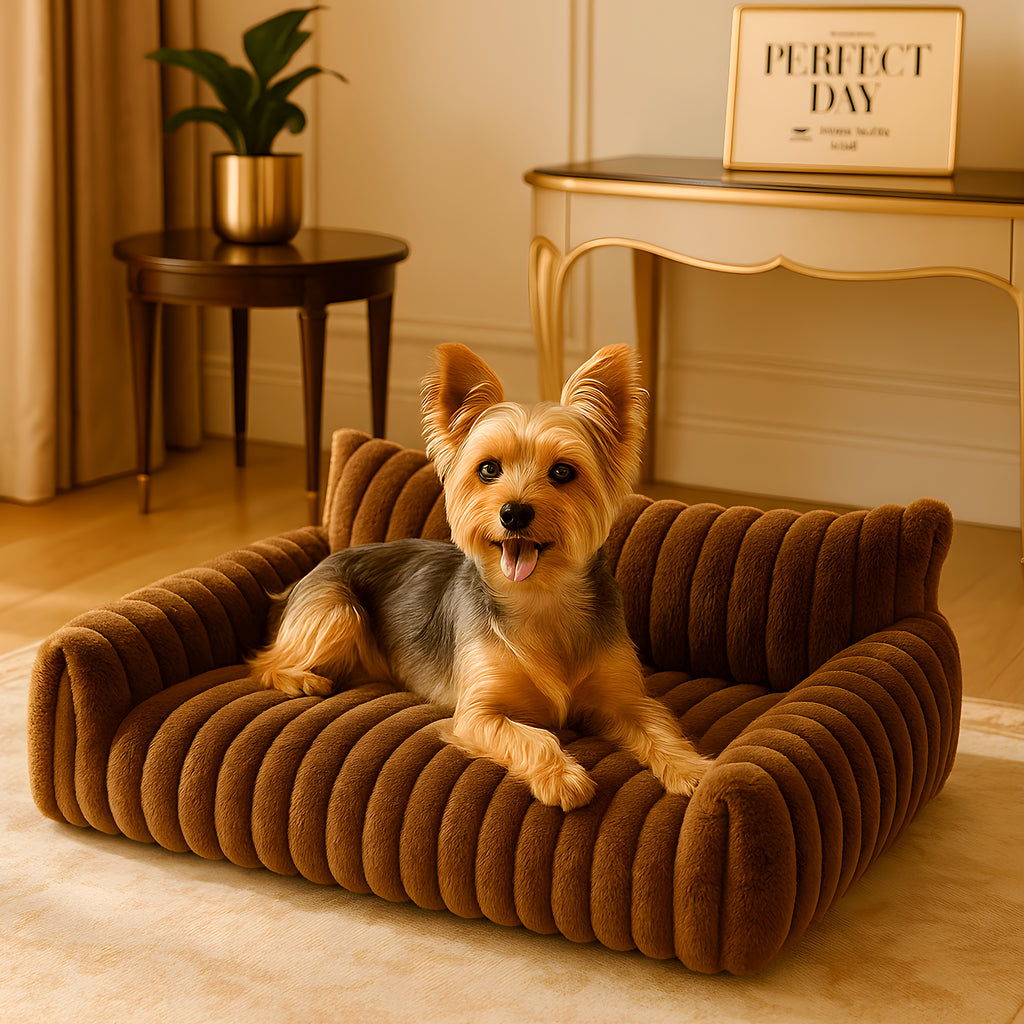 Petit canapé en peluche à 3 côtés pour chien, 4 coloris