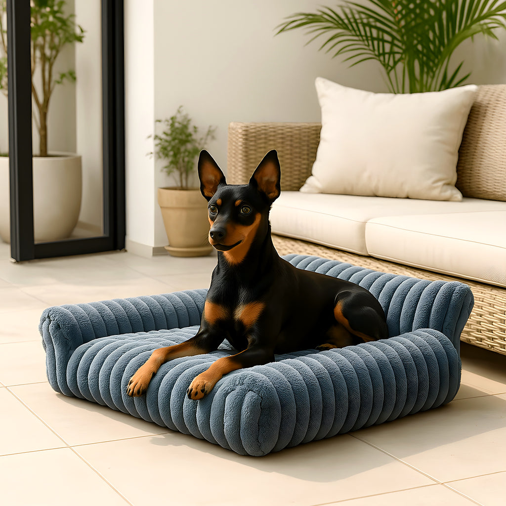 Petit canapé en peluche à 3 côtés pour chien, 4 coloris