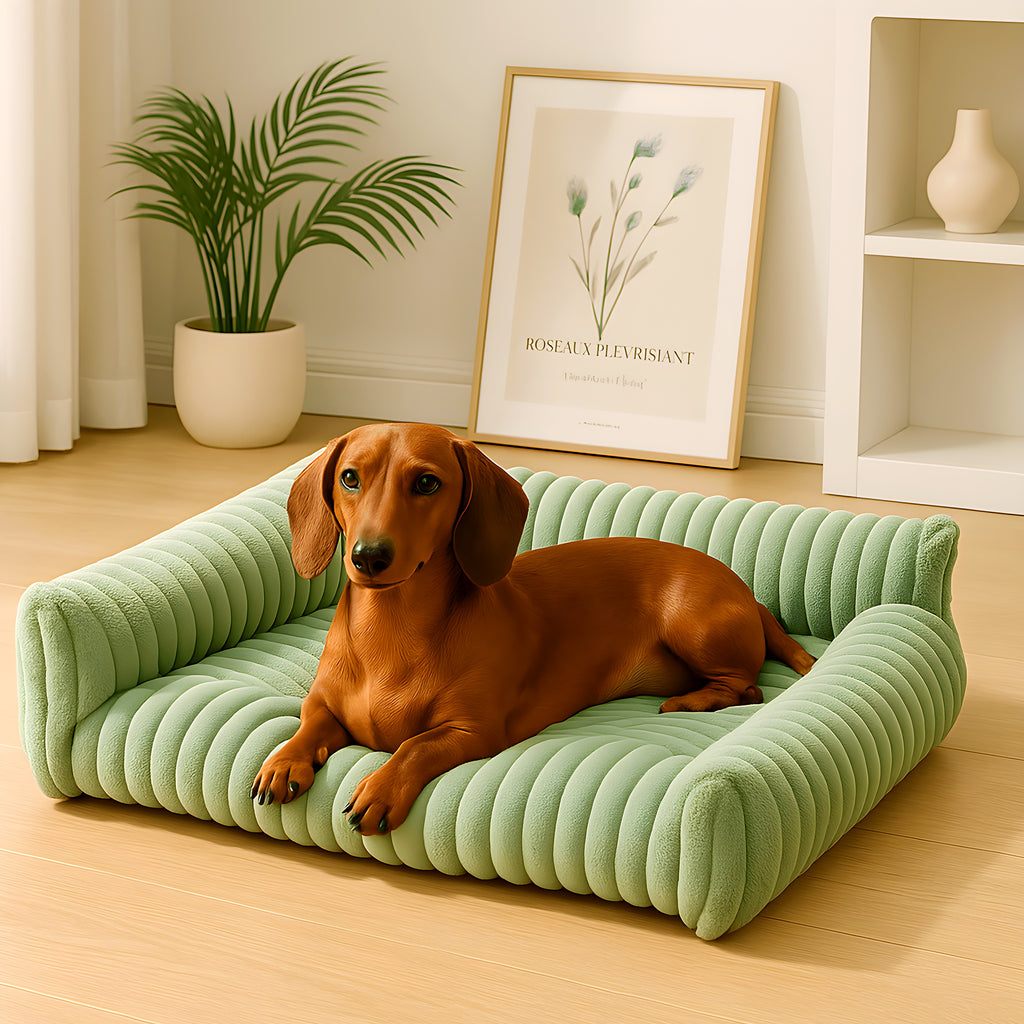Petit canapé en peluche à 3 côtés pour chien, 4 coloris