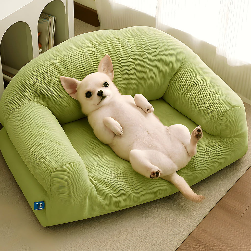 Petit canapé en velours côtelé vert ou gris pour chien