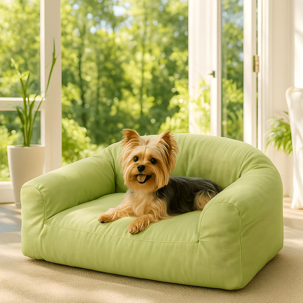 Petit canapé en velours côtelé vert ou gris pour chien