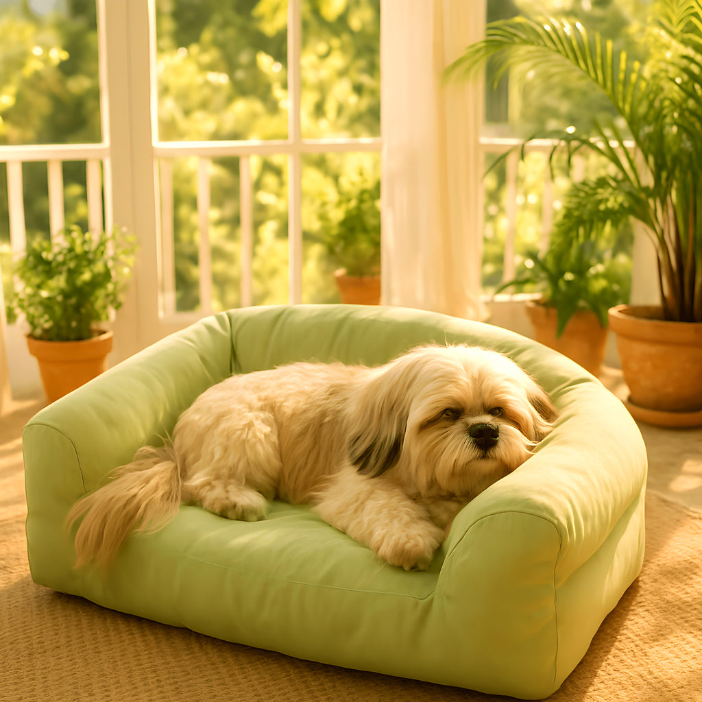 Petit canapé en velours côtelé vert ou gris pour chien