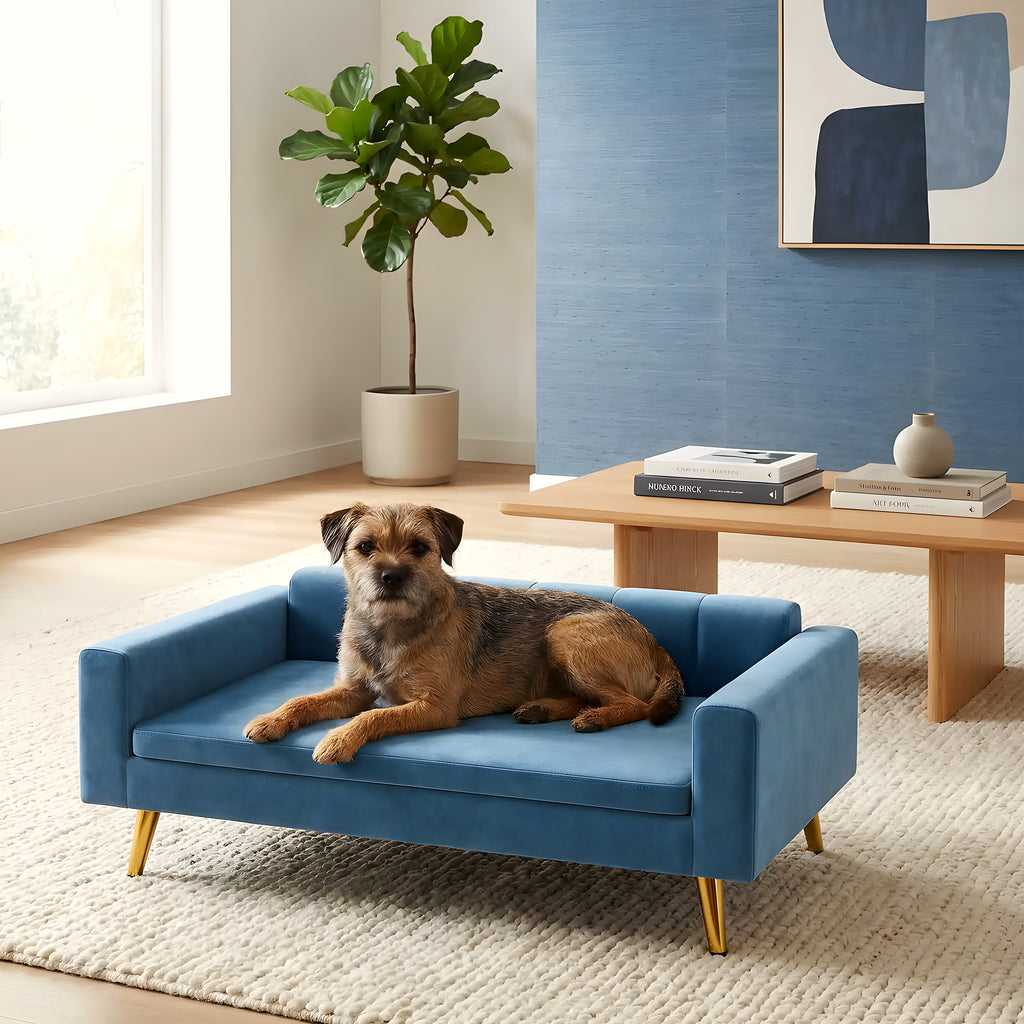 Petit canapé scandinave bleu pour chien