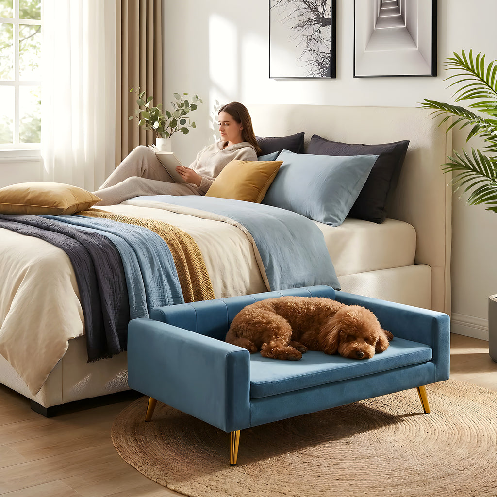 Petit canapé scandinave bleu pour chien