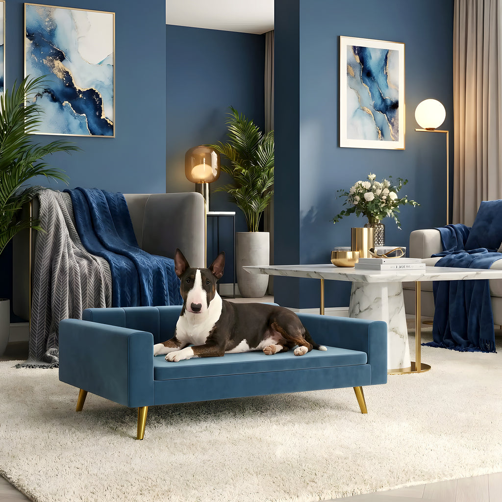 Petit canapé scandinave bleu pour chien